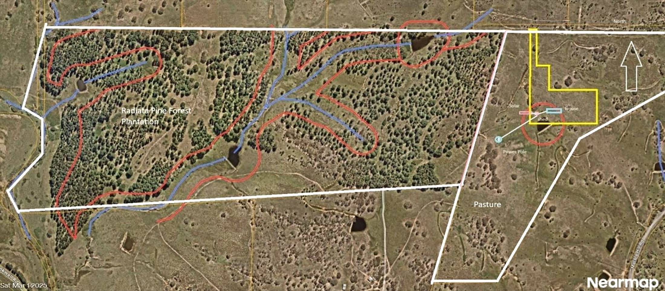 Aerial plan showing pasture and pine plantation areas at Marble Pines